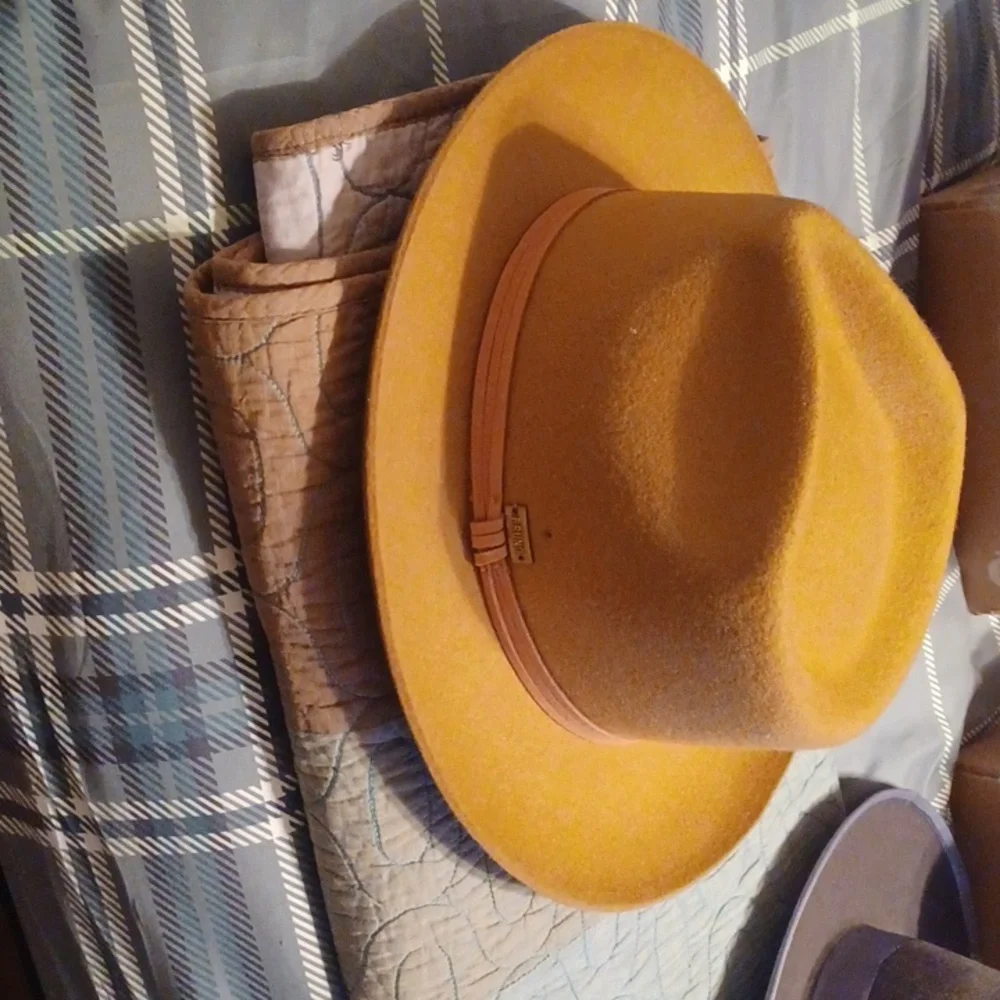 Stylish Men's Fedora Hat Collection - Picture 3 of 14